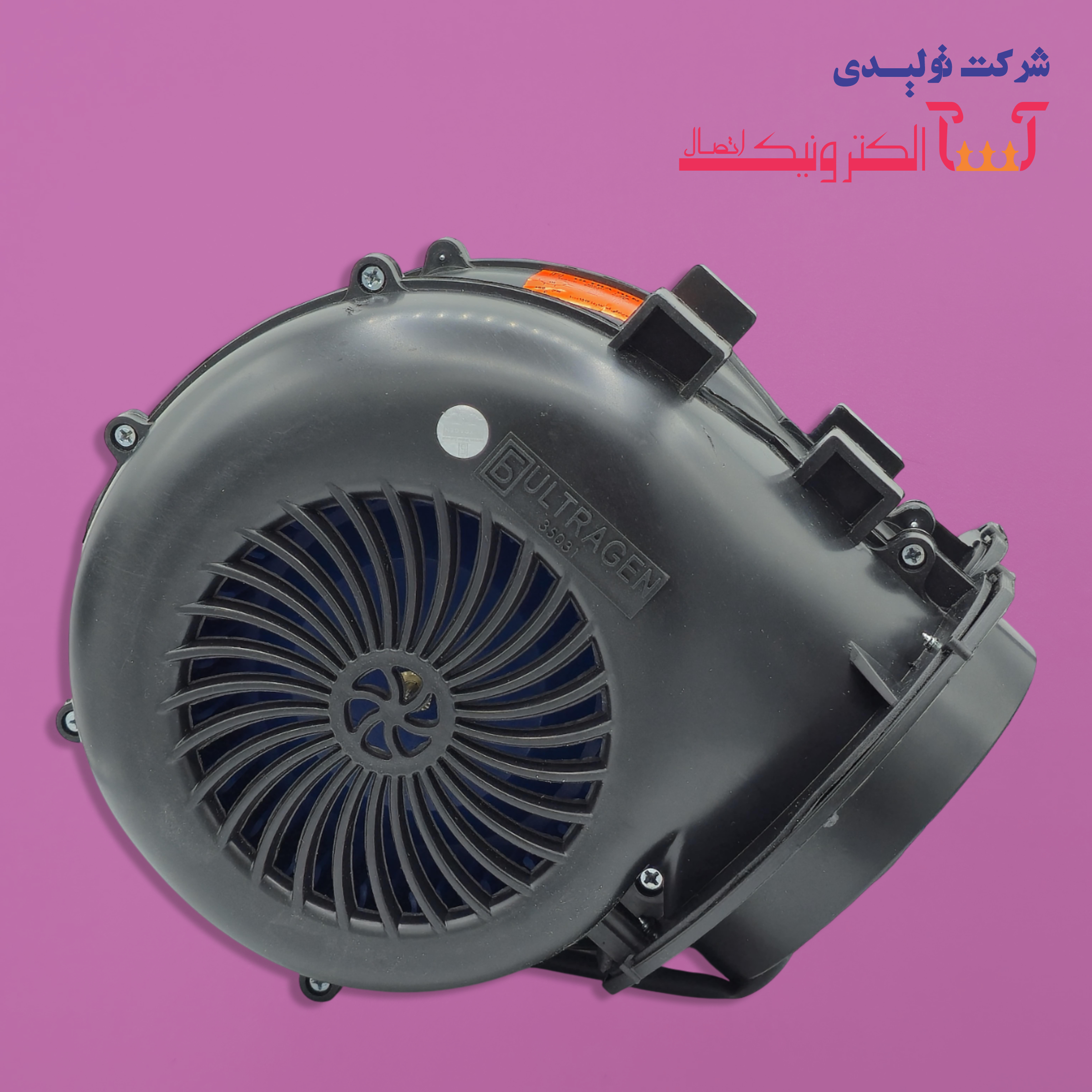 فن
